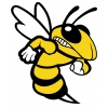 woodford county yellow jackets